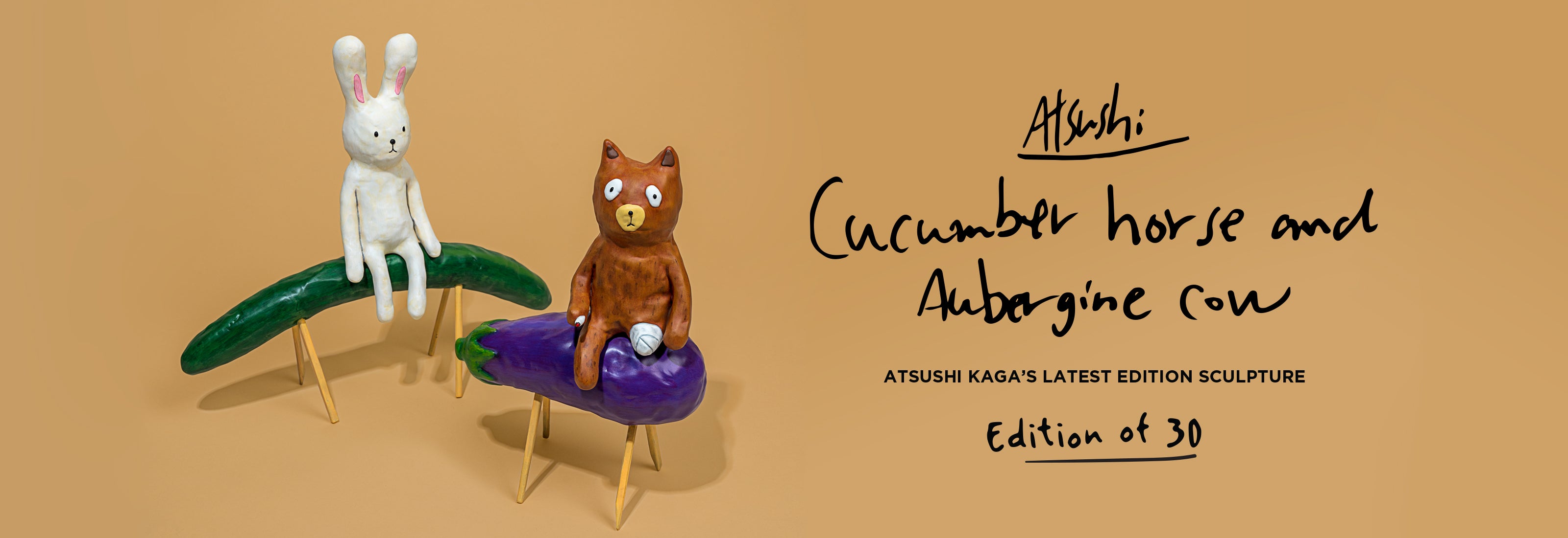 Atsushi Kaga – DDTStore