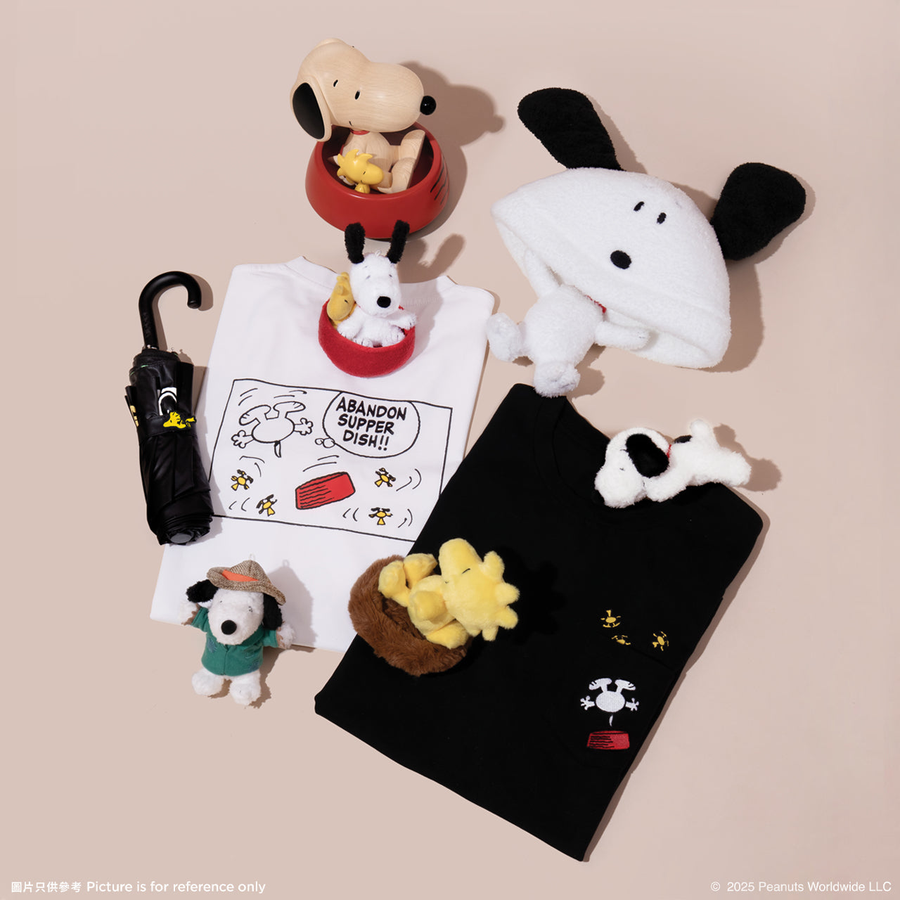 Water Parade - Snoopy – DDTStore