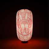 KAWS ACCOMPLICE LANTERN