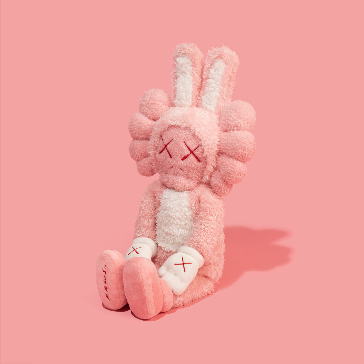 アクセサリー kaws KAWS ACCOMPLICE – DDTStore