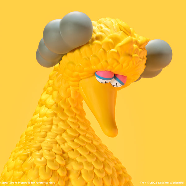 B07. Big Bird 13" Vinyl Figure 搪膠公仔 (PRE-ORDER)