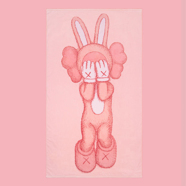 KAWS:HOLIDAY – DDTStore