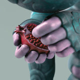 The Sower